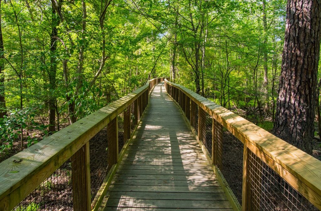 Congaree National Park